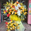 snapedit_1693882353381
