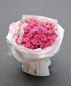 15JxU9XsKv7CLSQuaKgJ9X6Maeu0jYVx8