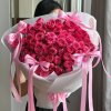 1fG7qFaI96dyimpilforrt_YR4nYVOYUW