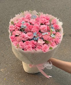 Bó Hoa Cẩm Chướng Hồng Phấn Nhỏ Xinh