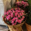 Bó hoa cẩm chướng màu hồng tươi thắm, dày đặc, được gói trong giấy nâu tại STflowers, Quận 7