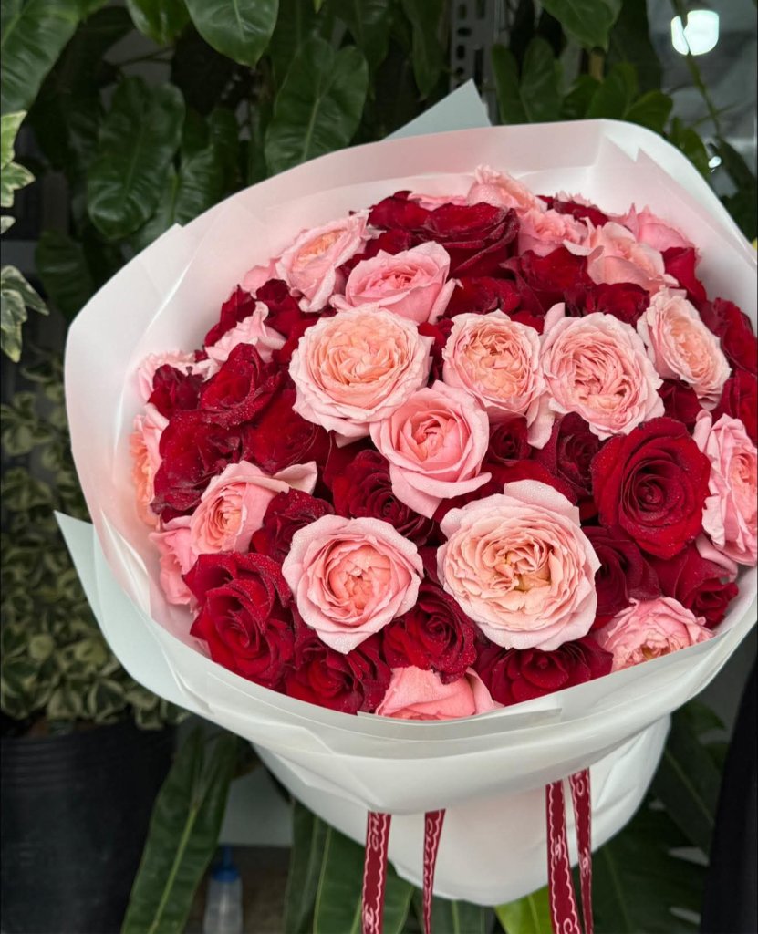 Bó hoa hồng đỏ và hồng pastel tươi rói, có giọt sương, gói giấy trắng tinh tế từ STflowers Quận 7, thể hiện sự lãng mạn và sang trọng.