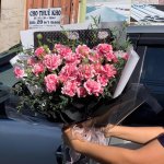 Bó hoa cẩm chướng hồng ngọt ngào được gói cẩn thận, là món quà ý nghĩa từ STflowers, giao tận nơi tại Quận 7, TP.HCM.